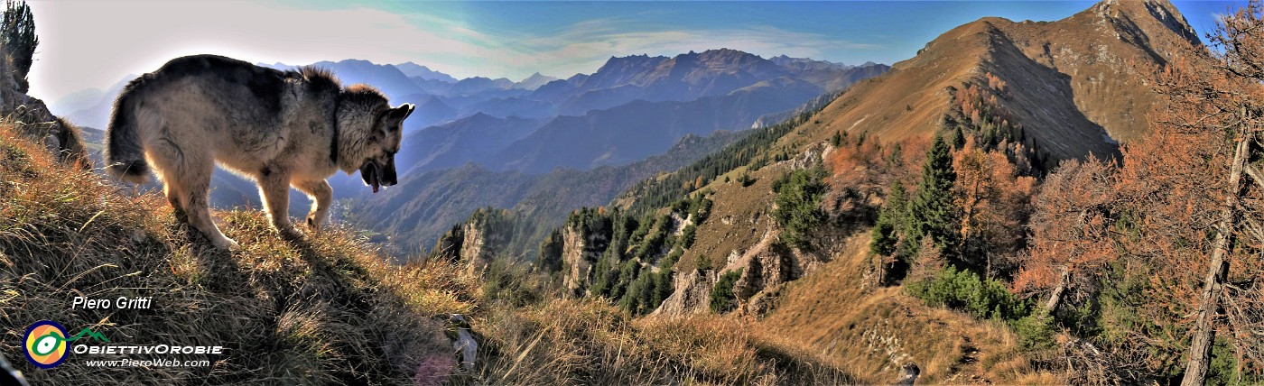 59 Dori in attenta discesa dal Pizzo Badile con vista sul dirimpettaio Monte Secco.jpg
